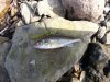 20150328_110835.jpg