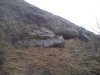 DSC00789.jpg