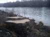 DSC00790.jpg