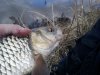 DSC00806.jpg