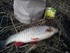DSC00807.jpg