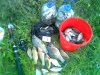 Recovered_JPEG_2597.jpg