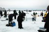DSC_5767.jpg