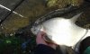 20150502_144934_800x480.jpg