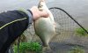 20150504_083300_800x480.jpg