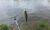 20150504_085704_800x480.jpg