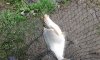 20150504_115113_800x480.jpg
