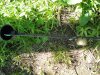 DSC03849.jpg