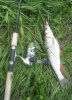 DSCN8446.jpg