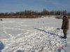 DSC00098.jpg