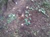 20130902_134611.jpg