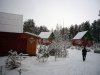 P1010724-1.jpg