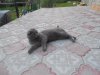 DSCN0640.jpg