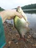 20150627_090241.jpg