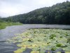 DSC00950.jpg