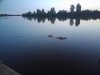 P_20150705_031740_1600x1200.jpg