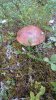 DSC_0108_r.jpg