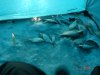 DSC02311.JPG