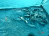 DSC02313.JPG