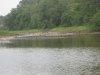 IMG_1338.jpg