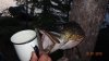 DSC01743.jpg