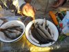 DSC07955.jpg