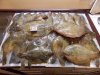 DSCN5892.JPG