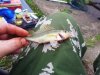 20150801_083030.jpg