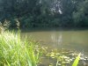 DSC01039.jpg