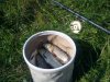 DSC01045.jpg