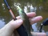 20150806_165952.jpg