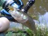 20150806_175437.jpg