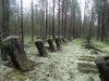 DSC01066_thumb.jpg
