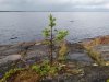 DSC01239_thumb.jpg