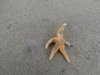DSC01284_thumb.jpg