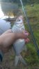 IMAG0522.jpg
