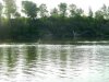 IMG_20150824_112840.jpg
