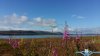 20150808_122228.jpg