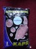 DSC04279.jpg