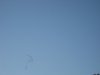 IMG_6002.JPG