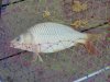 DSC07725.jpg