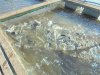 DSC07784.jpg