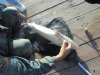 DSC07839.jpg