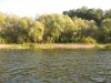 IMG_6256.JPG