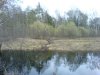 DSC00146.jpg