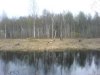 DSC00147.jpg