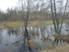 DSC00150.jpg