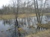 DSC00151.jpg