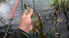 WP_20151002_001.jpg