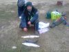 20151018_170224.jpg